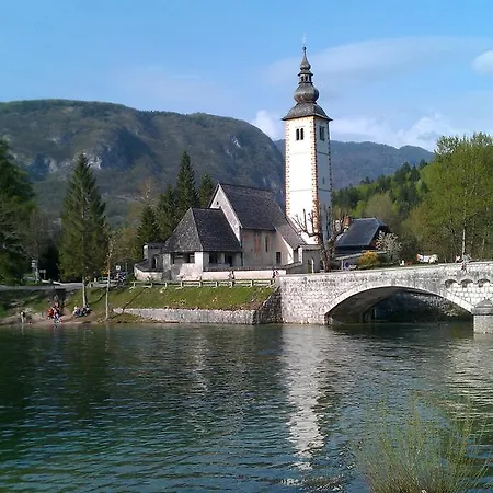 Bohinjko 公寓 博希尼