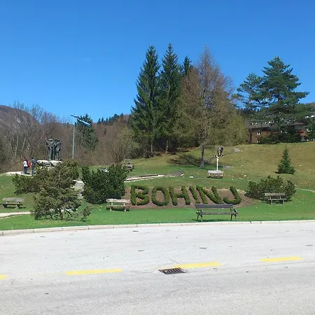 Bohinjko 公寓 博希尼
