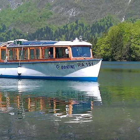 公寓 Bohinjko 博希尼