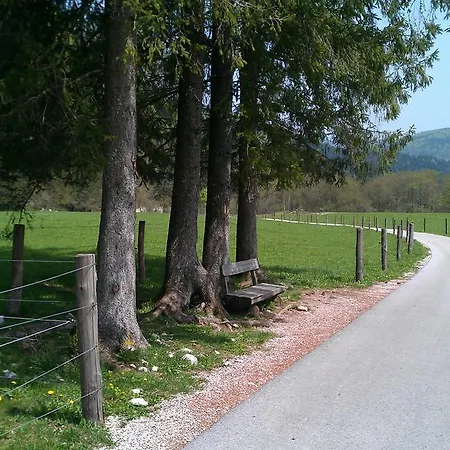 Bohinjko 公寓 *