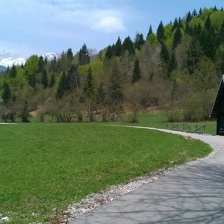 公寓 Bohinjko