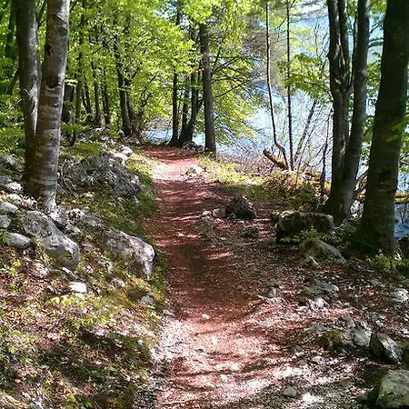 Bohinjko Bohinj