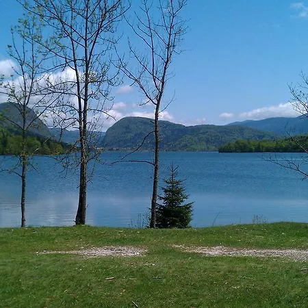 Bohinjko *