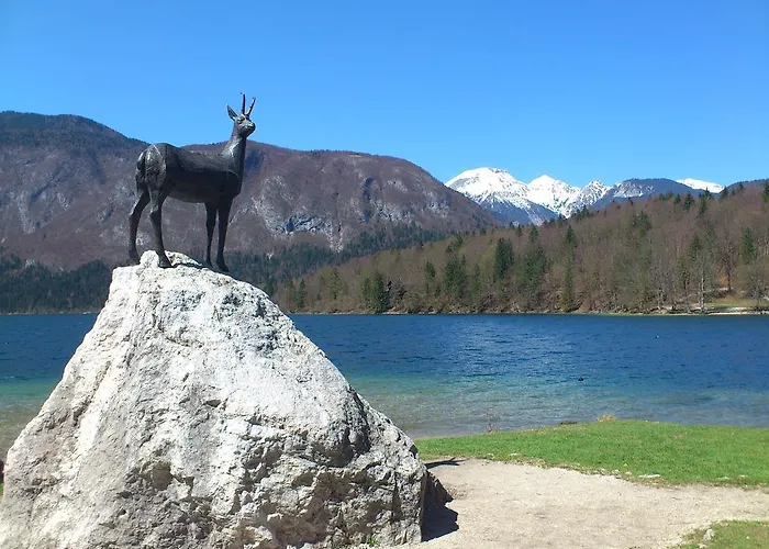 Bohinjko *