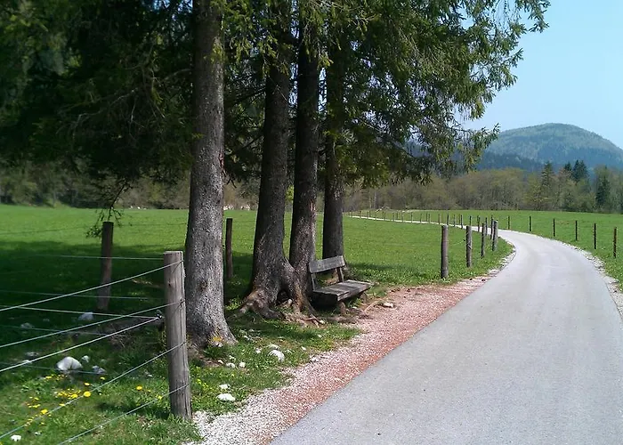 Bohinjko Apartament *