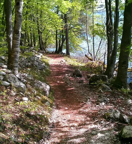 Bohinjko Bohinj